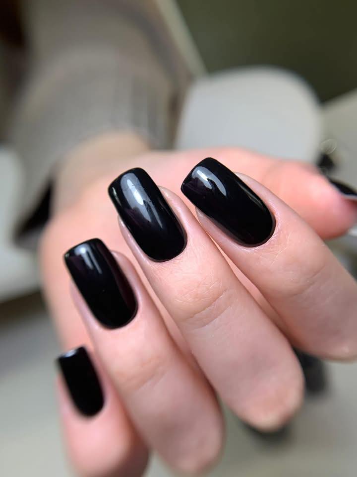 571676797 2885152225205859 8762421965049990438 n